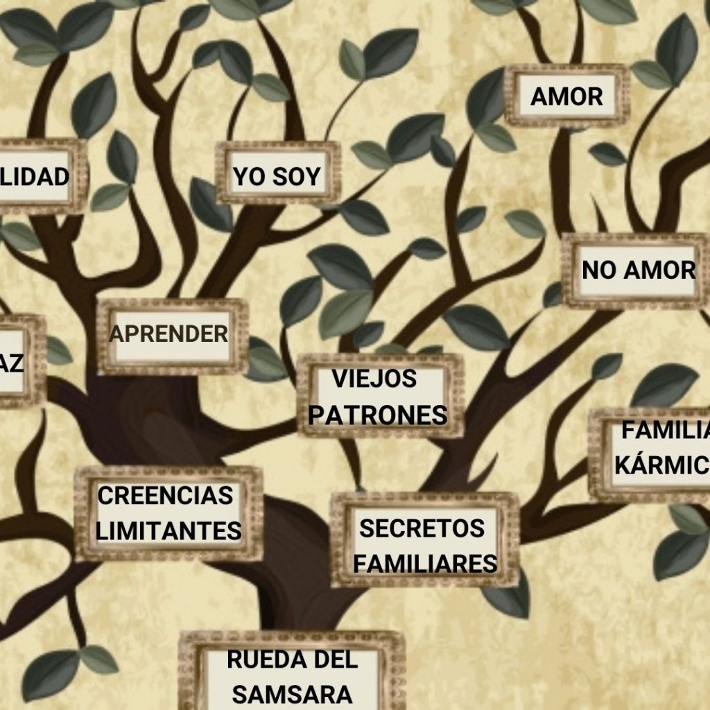 TRANSCIENDE EL KARMA Y VIVE EN DHARMA-3